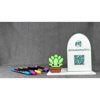 Sukkulente / Pflanze im Topf