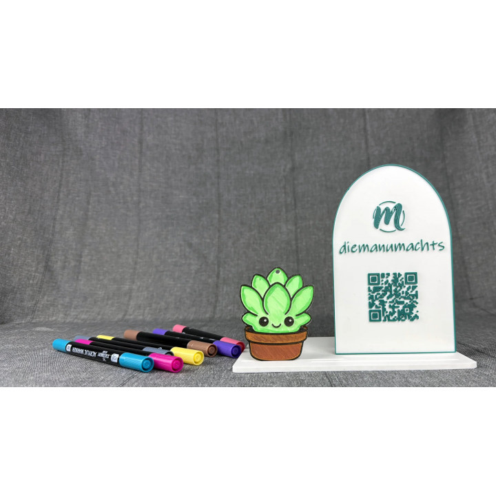 Sukkulente / Pflanze im Topf