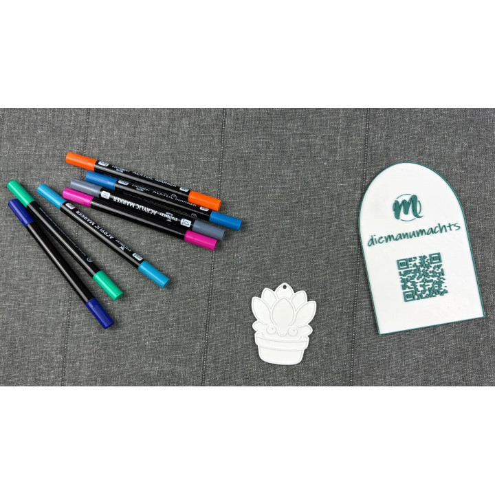 Sukkulente / Pflanze im Topf mit Aufhängung